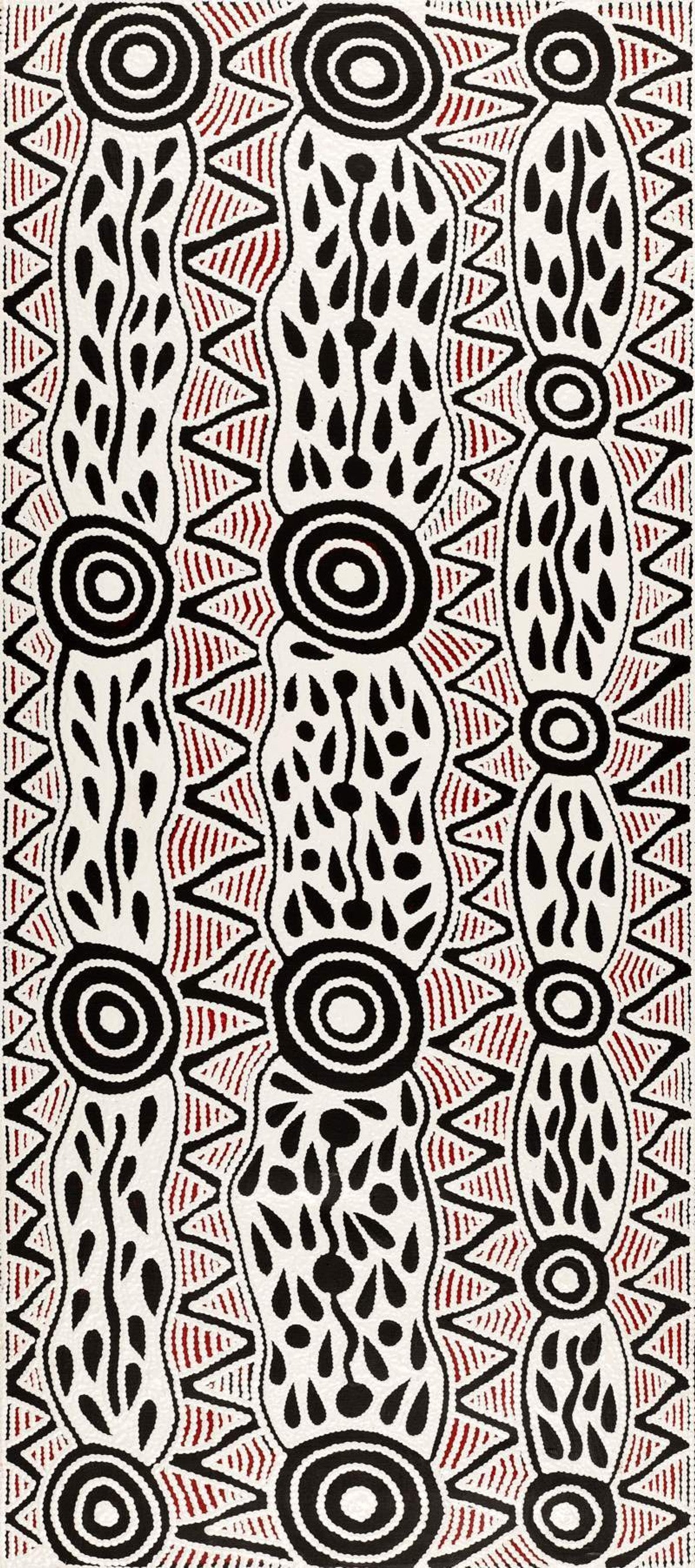 Pikilyi Jukurrpa (Vaughan Springs Dreaming)