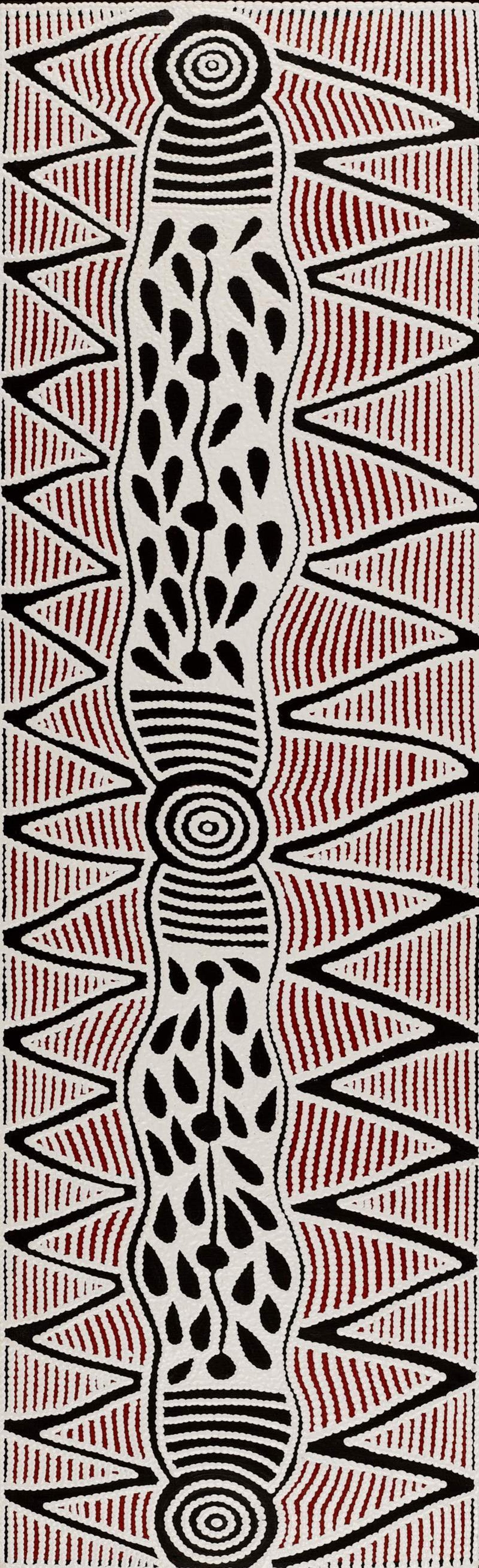 Pikilyi Jukurrpa (Vaughan Springs Dreaming)