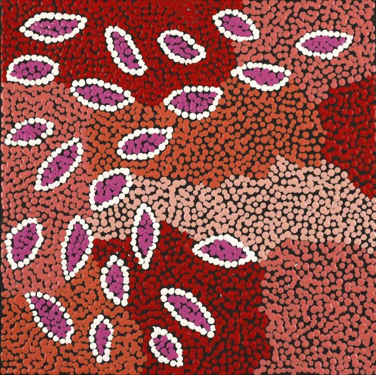 Yuparli Jukurrpa (Bush Banana Dreaming)