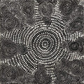 Pikilyi Jukurrpa (Vaughan Springs Dreaming)