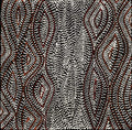 Watiya-warnu Jukurrpa (Seed Dreaming)