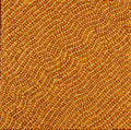 Mala Jukurrpa (Rufous Hare-wallaby Dreaming)