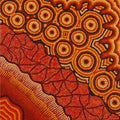 Ngapa Jukurrpa (Water Dreaming)  -  Puyurru