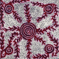 Watiya-warnu Jukurrpa (Seed Dreaming)