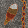Ngalyipi Jukurrpa (Snakevine Dreaming) - Mina Mina by Geraldine Napangardi Granites