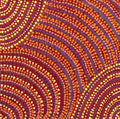 Pikilyi Jukurrpa (Vaughan Springs Dreaming)