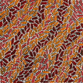 Warlukurlangu Jukurrpa (Fire country Dreaming)