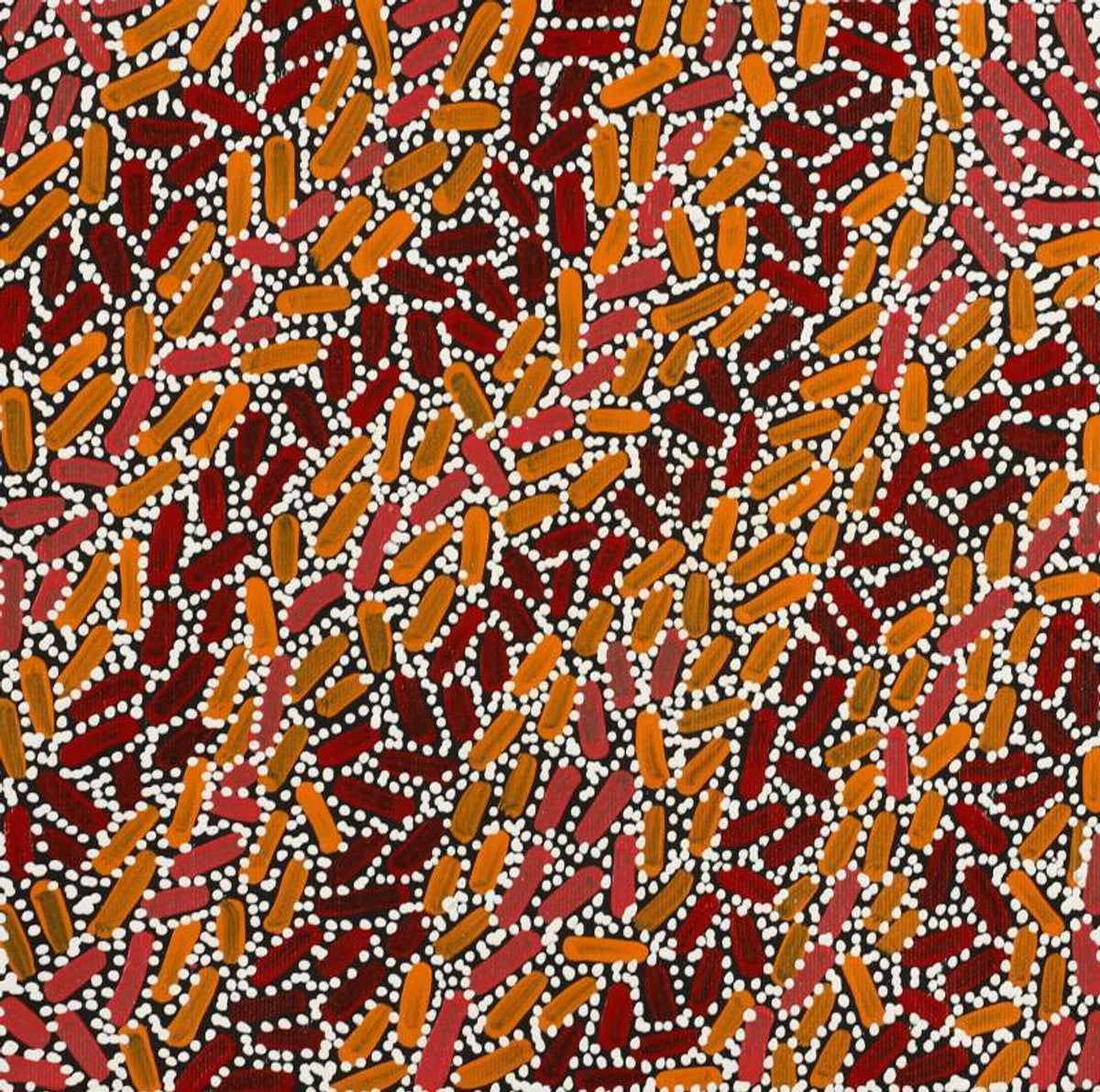 Warlukurlangu Jukurrpa (Fire country Dreaming)