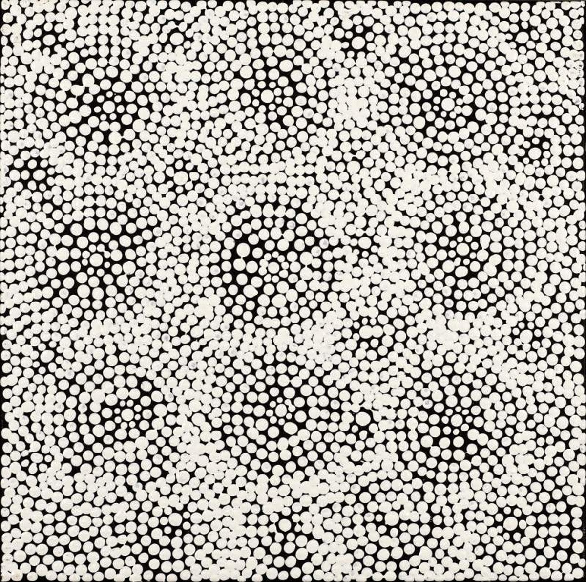 Mala Jukurrpa (Rufous Hare-wallaby Dreaming)