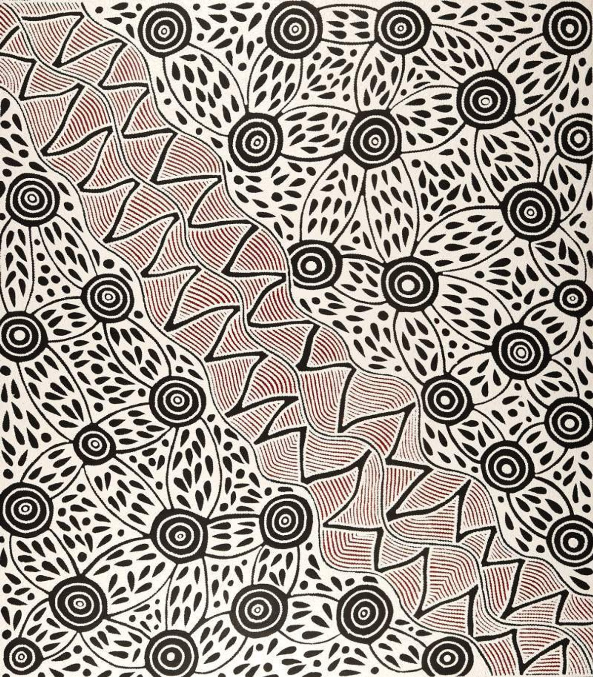 Pikilyi Jukurrpa (Vaughan Springs Dreaming)