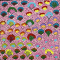 Nguru Yurntumu-wana (Country around Yuendumu)