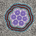 Pamapardu Jukurrpa (Flying Ant Dreaming)  - Warntungurru