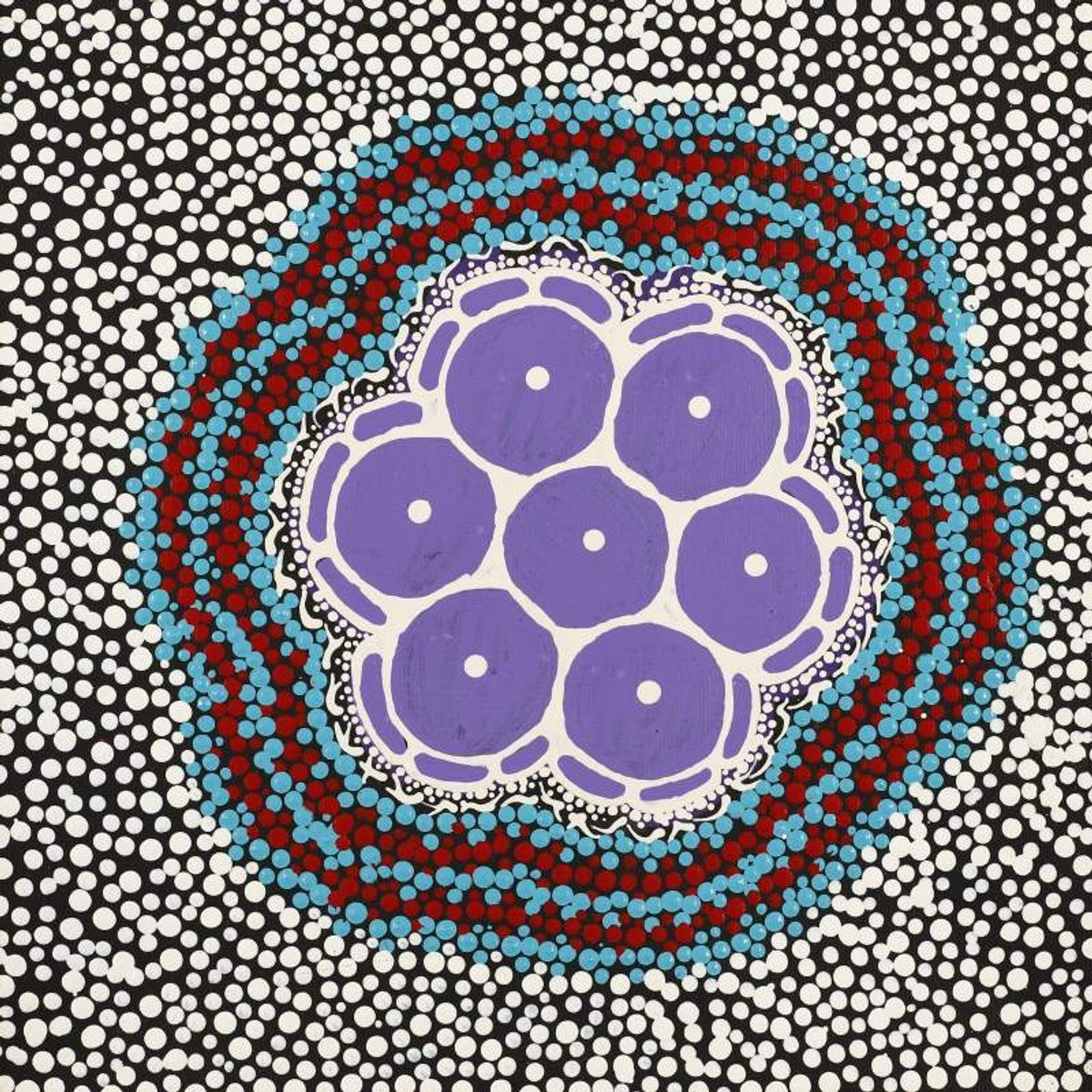 Pamapardu Jukurrpa (Flying Ant Dreaming)  - Warntungurru
