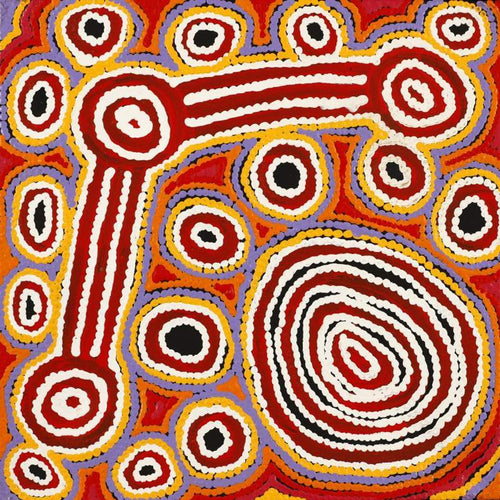 Lappi Lappi Jukurrpa (Lappi Lappi Dreaming)