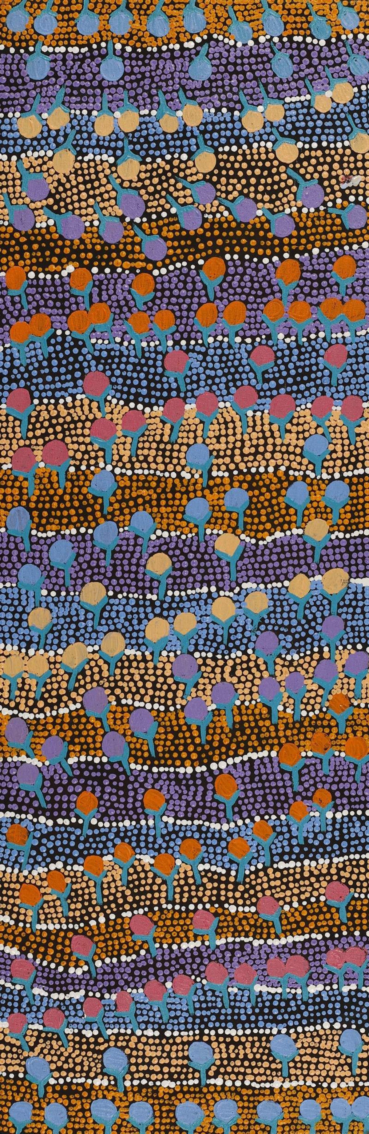 Wanakiji Jukurrpa (Bush Tomato Dreaming)