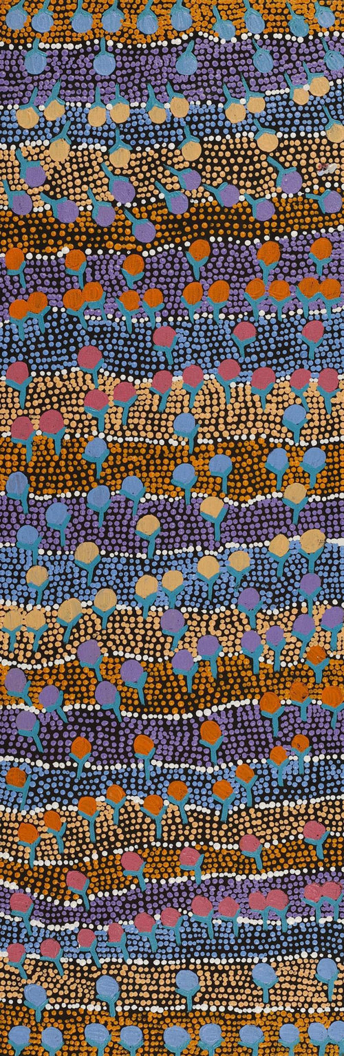 Wanakiji Jukurrpa (Bush Tomato Dreaming)