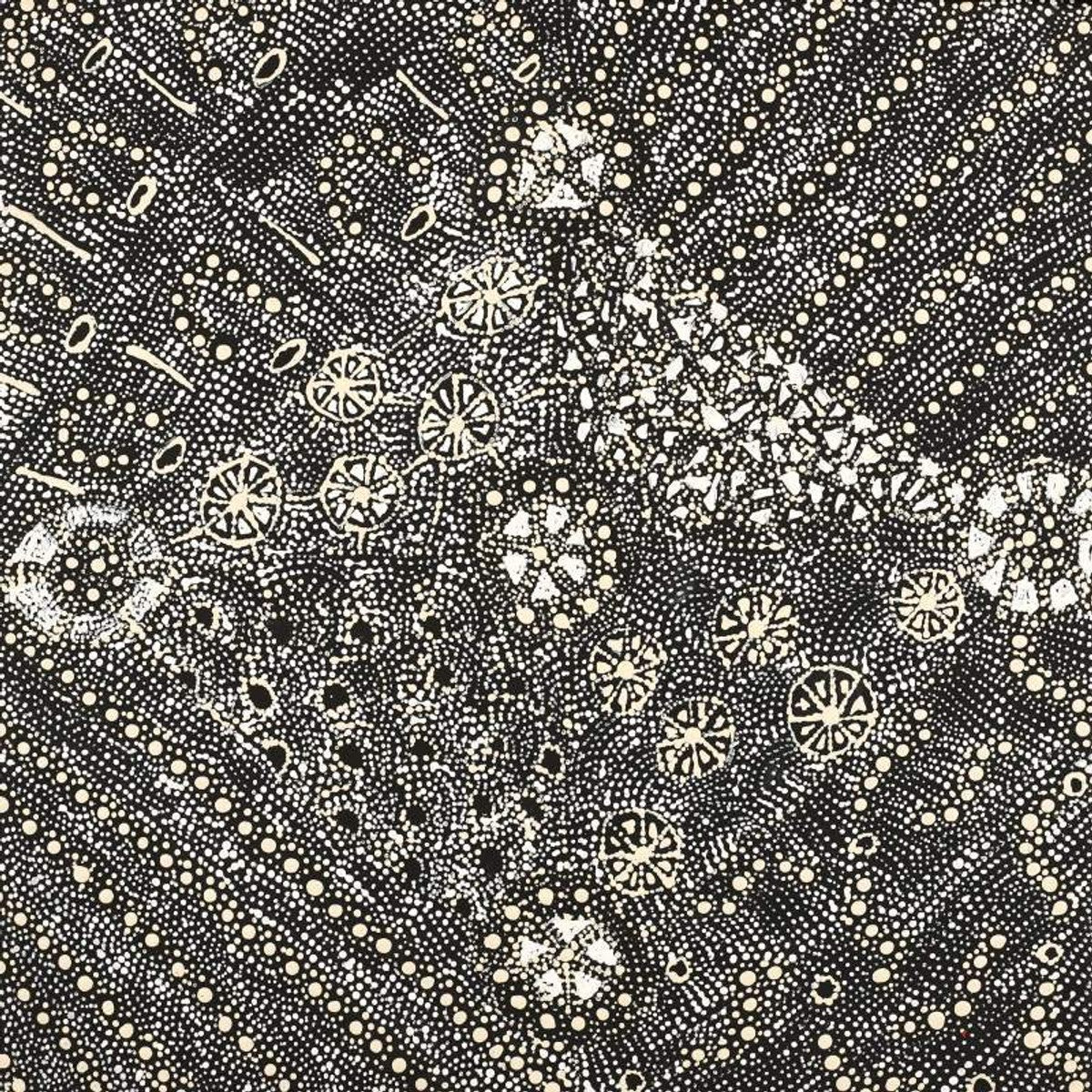 Lukarrara Jukurrpa (Desert Fringe-rush Seed Dreaming)