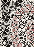 Pikilyi Jukurrpa (Vaughan Springs Dreaming)