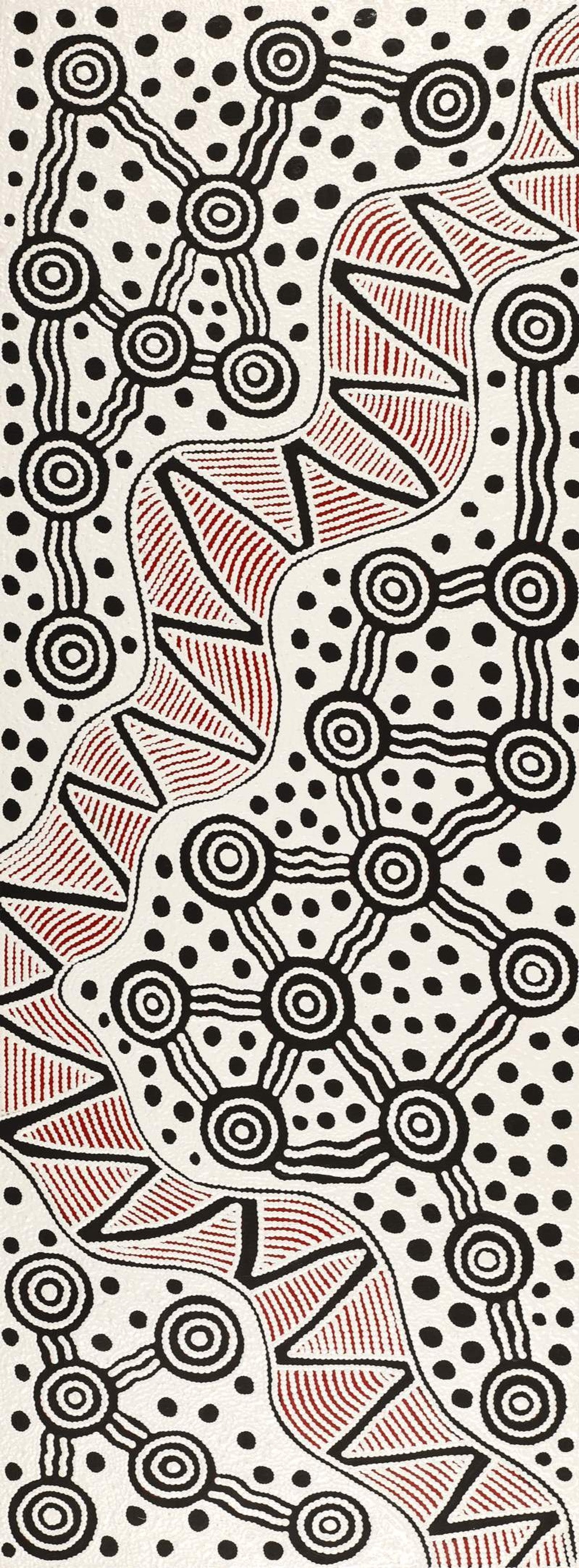 Pikilyi Jukurrpa (Vaughan Springs Dreaming)