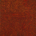 Ngapa Jukurrpa (Water Dreaming)  -  Puyurru