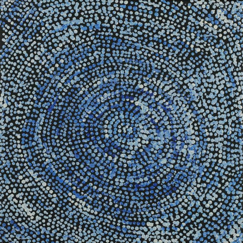 Ngapa Jukurrpa (Water Dreaming)  -  Puyurru