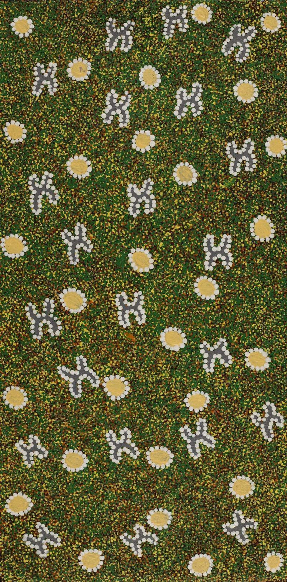 Ngatijirri Jukurrpa (Budgerigar Dreaming)