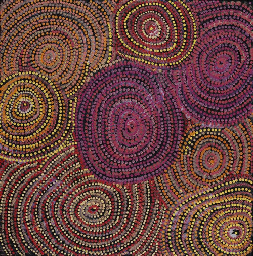 Pikilyi Jukurrpa (Vaughan Springs Dreaming)