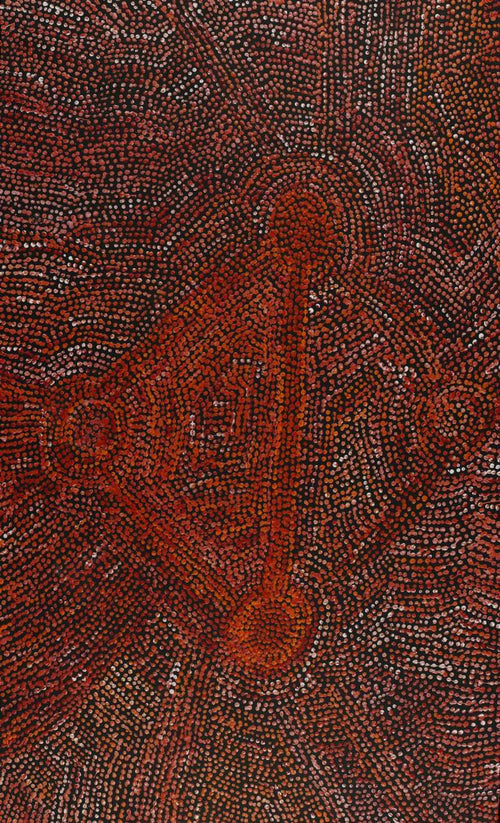 Ngapa Jukurrpa (Water Dreaming)  -  Puyurru