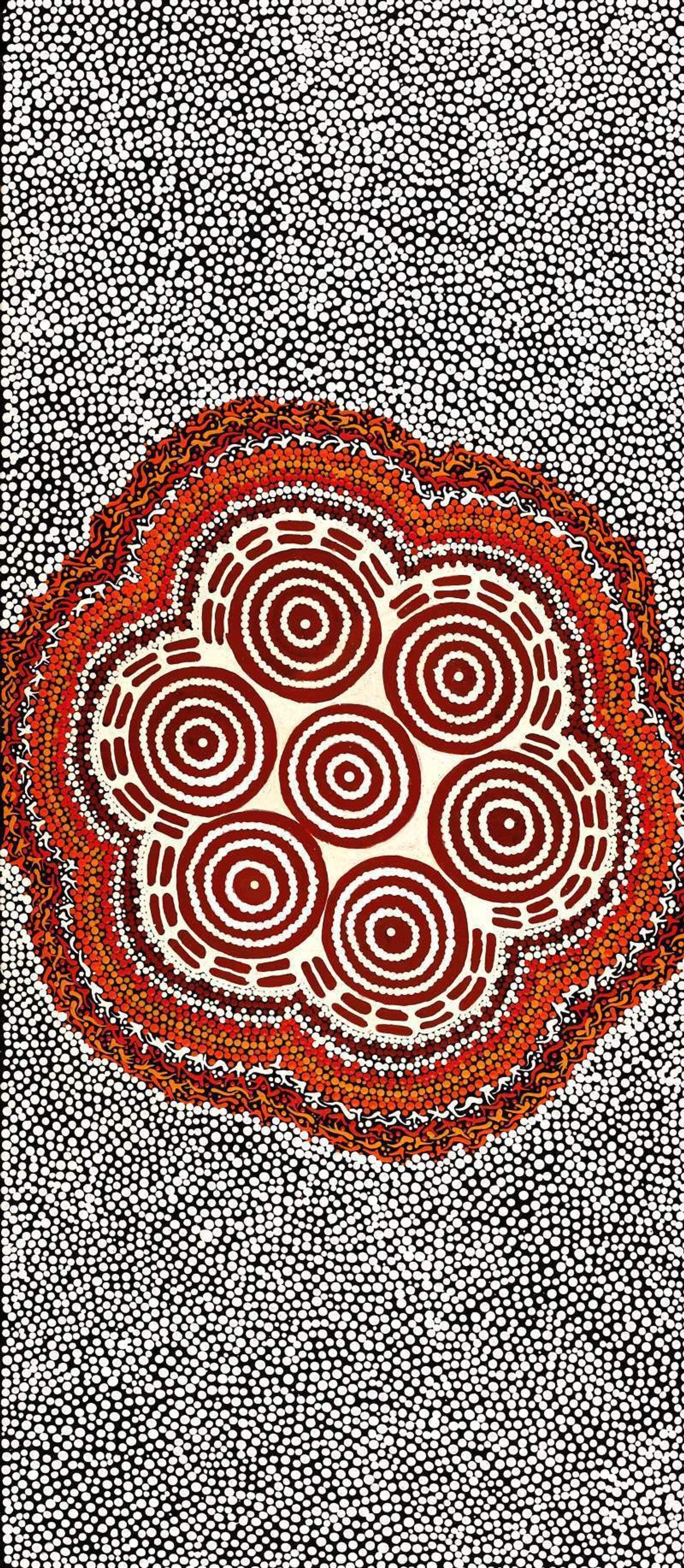 Pamapardu Jukurrpa (Flying Ant Dreaming)  - Warntungurru