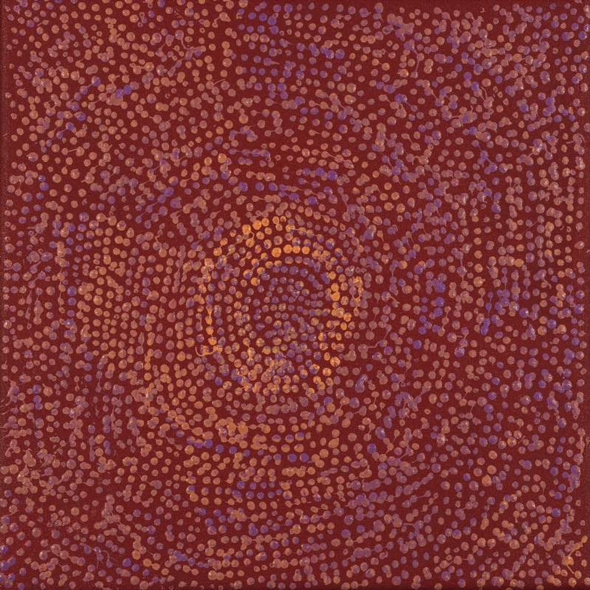 Ngapa Jukurrpa (Water Dreaming)  -  Puyurru