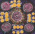 Jintiparnta Jukurrpa (Desert Truffle Dreaming) - Mina Mina