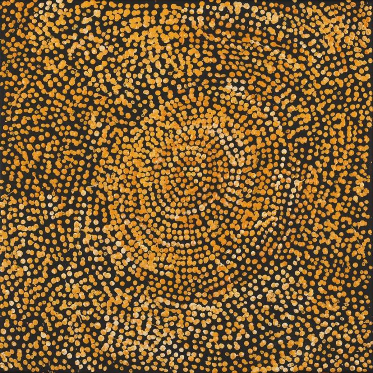 Ngapa Jukurrpa (Water Dreaming)  -  Puyurru
