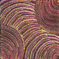 Pikilyi Jukurrpa (Vaughan Springs Dreaming)