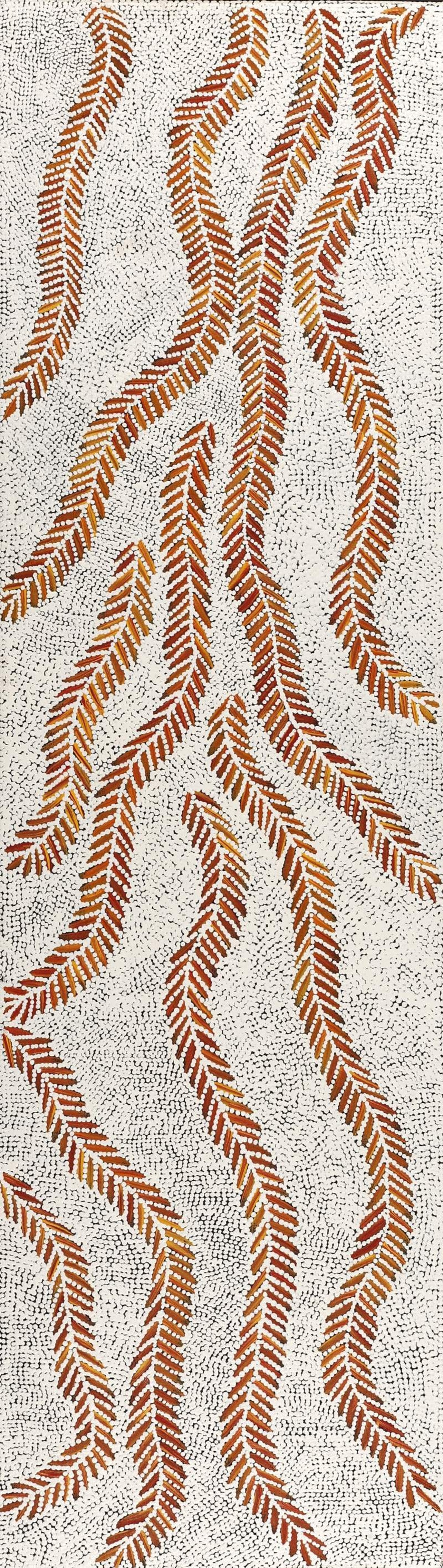 Karnta Jukurrpa (Women's Dreaming) - Bush Medicine