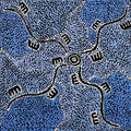 Wardapi Jukurrpa (Goanna Dreaming) - Yarripilangu