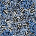 Wardapi Jukurrpa (Goanna Dreaming) - Yarripilangu