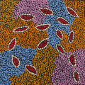 Yuparli Jukurrpa (Bush Banana Dreaming)