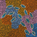 Yuparli Jukurrpa (Bush Banana Dreaming)