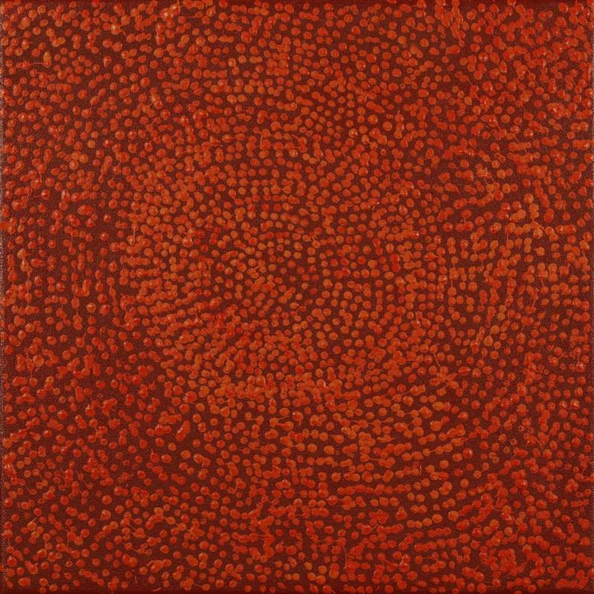 Ngapa Jukurrpa (Water Dreaming)  -  Puyurru