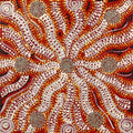 Wardapi Jukurrpa (Goanna Dreaming) - Yarripilangu