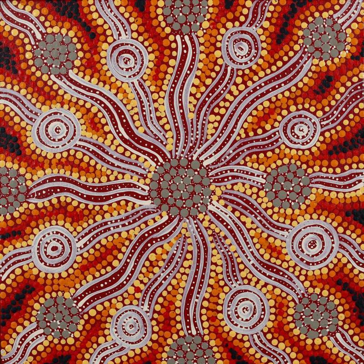 Wardapi Jukurrpa (Goanna Dreaming) - Yarripilangu