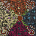 Janmarda Jukurrpa (Bush Onion Dreaming)