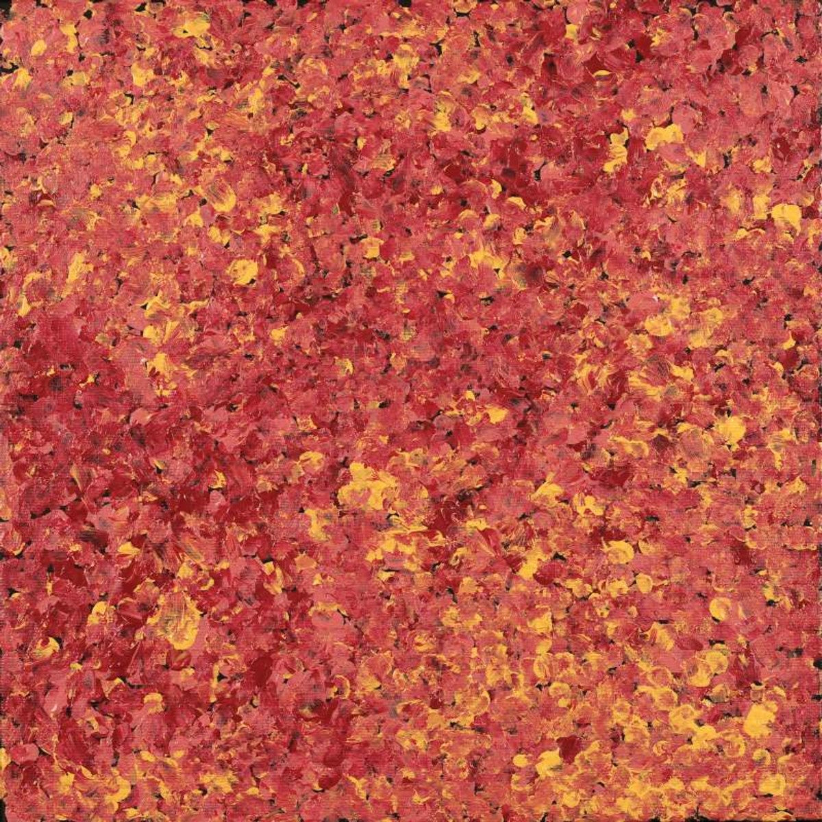Wardapi Jukurrpa (Goanna Dreaming) - Yarripilangu