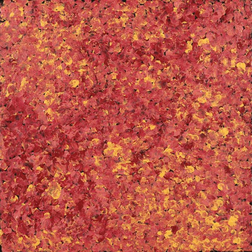 Wardapi Jukurrpa (Goanna Dreaming) - Yarripilangu