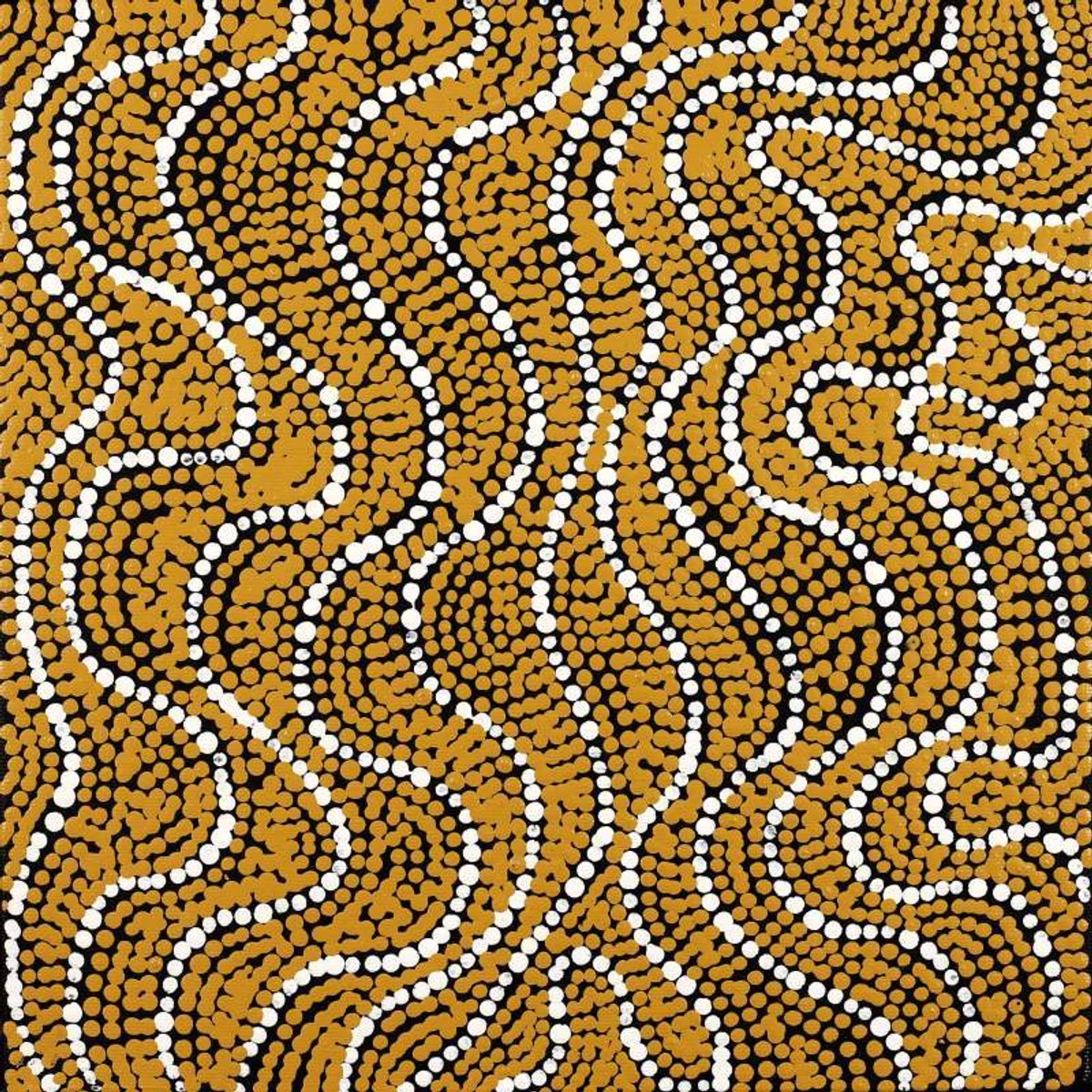 Mina Mina Jukurrpa (Mina Mina Dreaming)
