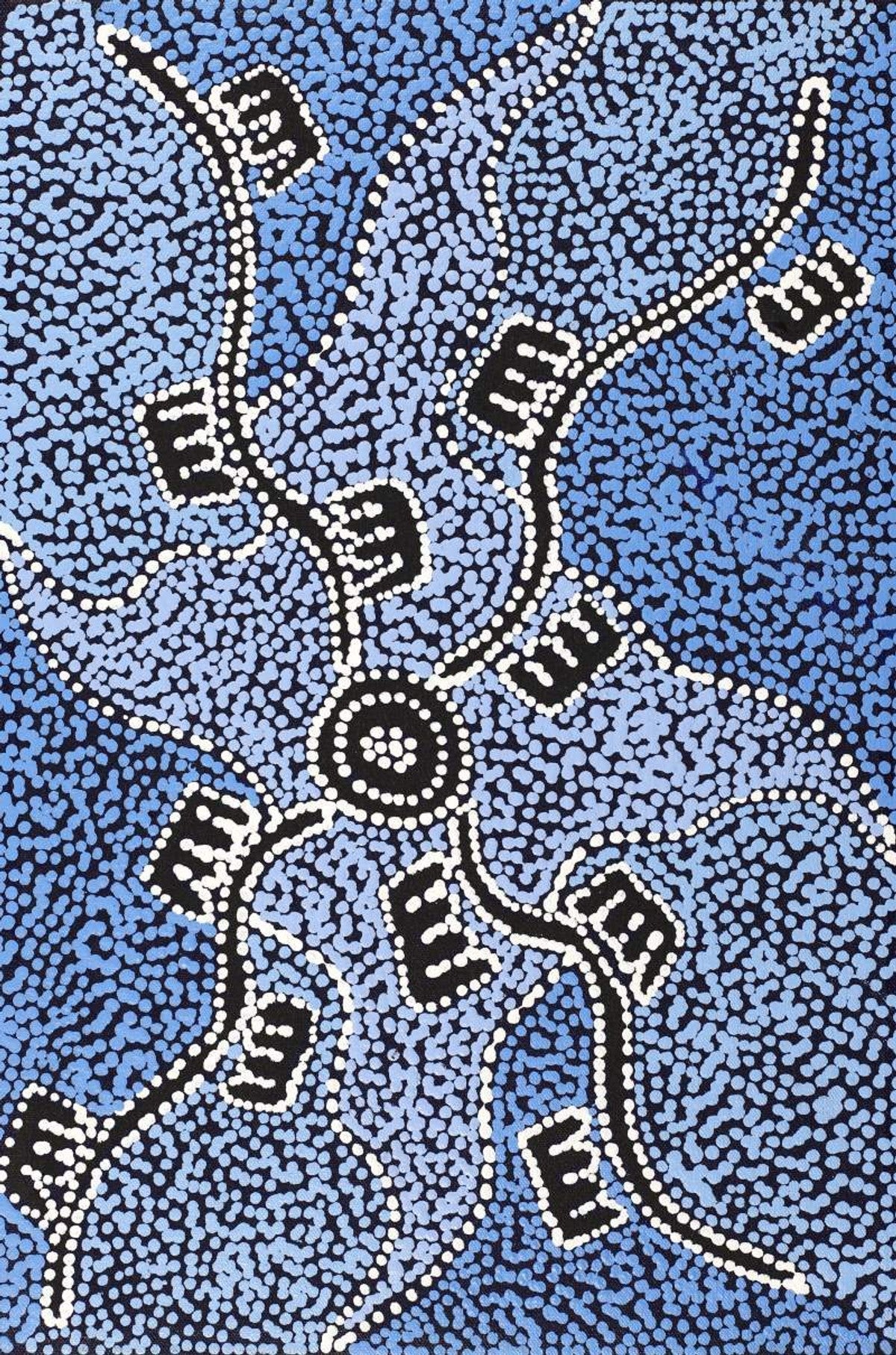 Wardapi Jukurrpa (Goanna Dreaming) - Yarripilangu