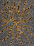 Watiya-warnu Jukurrpa (Seed Dreaming)