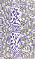 Purrpalanji (Skinny Bush Banana) Jukurrpa