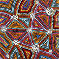 Pikilyi Jukurrpa (Vaughan Springs Dreaming)