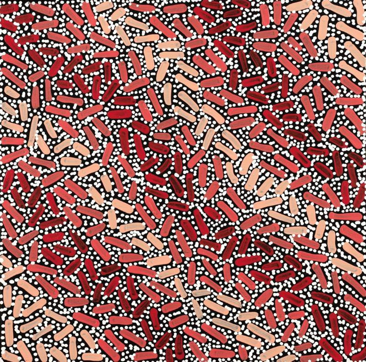 Warlukurlangu Jukurrpa (Fire country Dreaming)